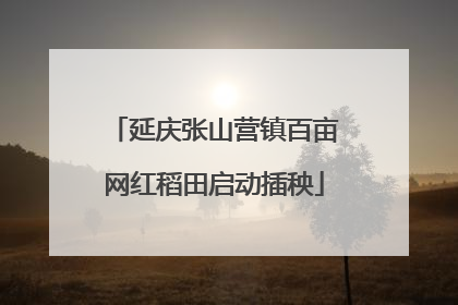 延庆张山营镇百亩网红稻田启动插秧